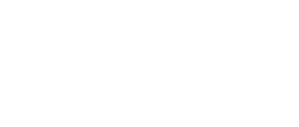 Logo Wit SOW Sustainability